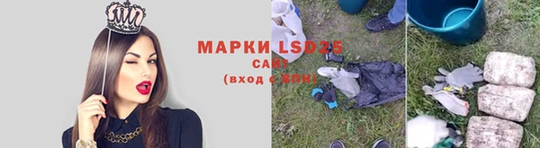 гидра Кукмор