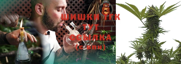 гидра Кукмор