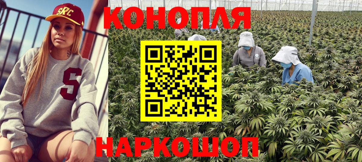 Конопля гибрид  Бошки Шишки MAZAR  Ханты-Мансийск 